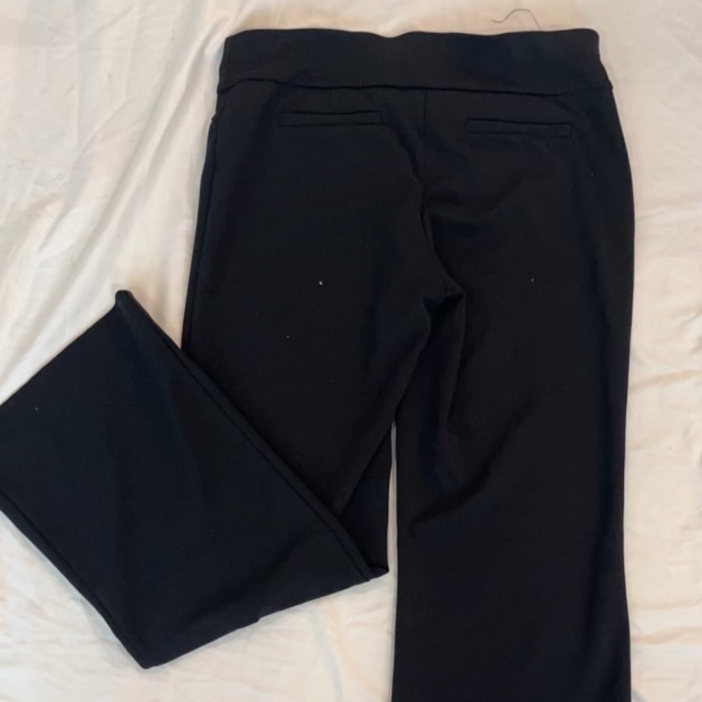 Briggs New York Women's Flat Front Dress Pants